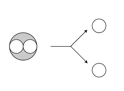 calbe-21.webp